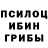 Галлюциногенные грибы мицелий Poket Neo