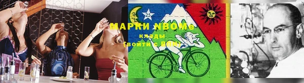 хмурый Алзамай