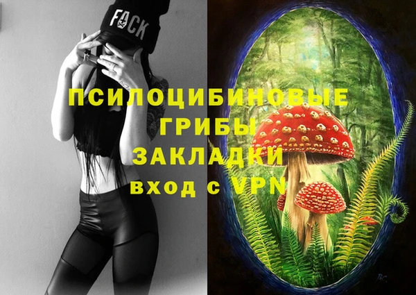 прущая мука Арсеньев