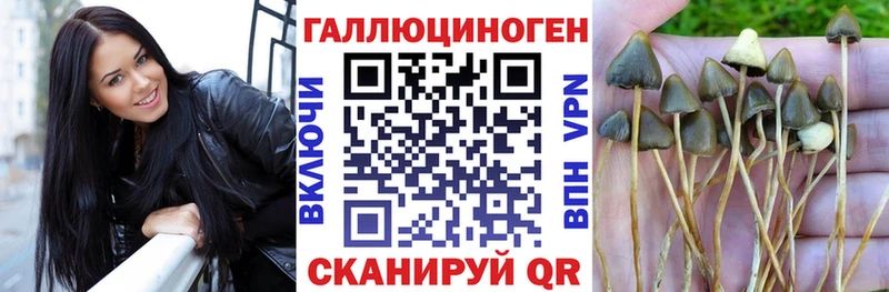 Псилоцибиновые грибы прущие грибы Белорецк