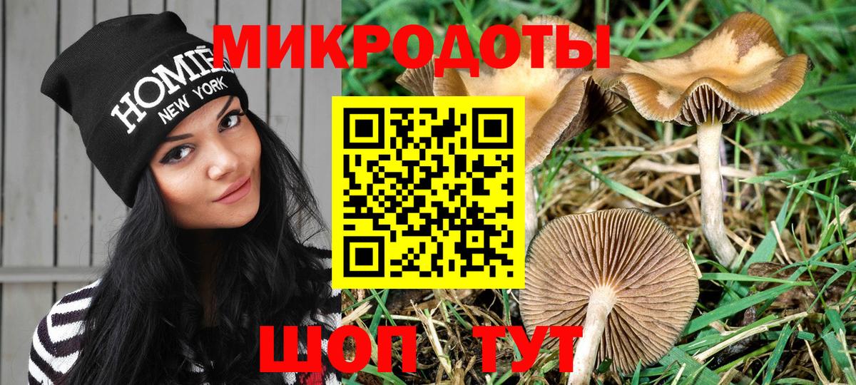 Псилоцибиновые грибы Cubensis  Псилоцибиновые грибы Cubensis  Белорецк  Вход с VPN 